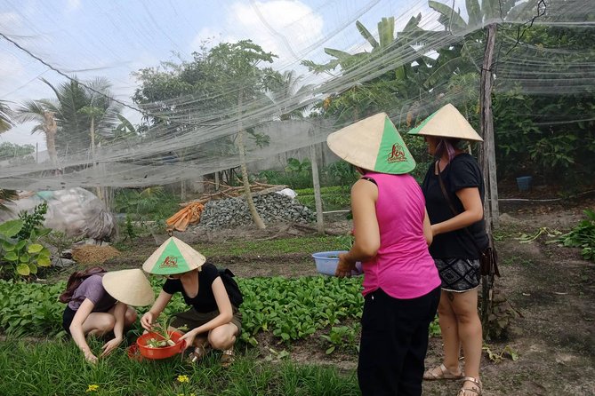 Farm-To-Table Healthy Cooking Class in Ho Chi Minh City - Should you book this cooking class in Ho Chi Minh City?