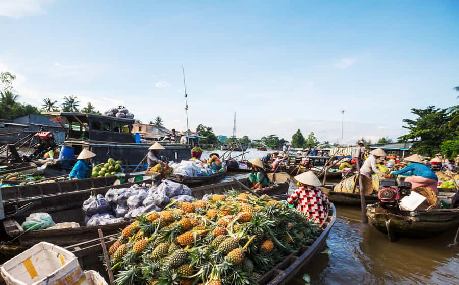 From HCM: Mekong Delta & Cai Rang Floating Market 2-Day Tour - From Ho Chi Minh City to the Mekong: how day 1 sets the tone