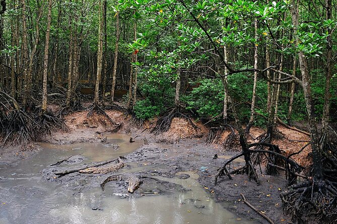 From Ho Chi Minh: Can Gio Trek – Monkey Island & Crocodile Farm - Monkey Island: the highlight, plus how to deal with troublemakers