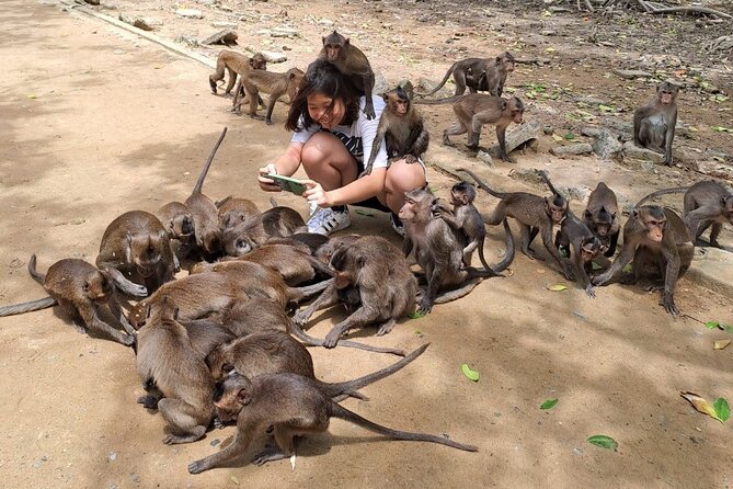 From Ho Chi Minh: Can Gio Trek – Monkey Island & Crocodile Farm - Crocodile viewing at Hoa Ca, and why expectations matter