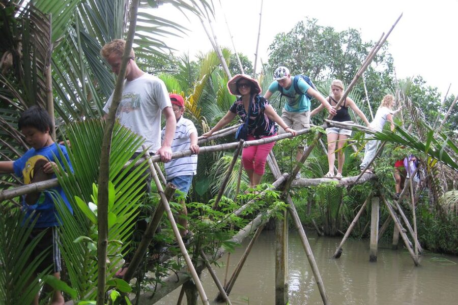 From Ho Chi Minh City: Mekong Delta VIP Tour by Limousine - My Tho and Coconut Island cruise time