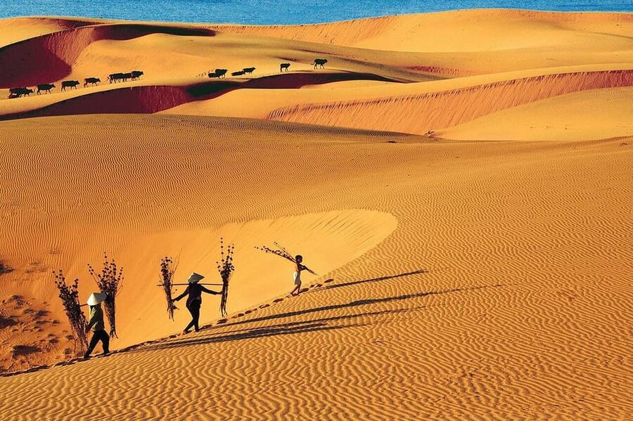 From Ho Chi Minh City: Relax In Mui Ne Beach In 1 Day - Suoi Tien (Fairy Stream) and the Red Dune Viewpoints