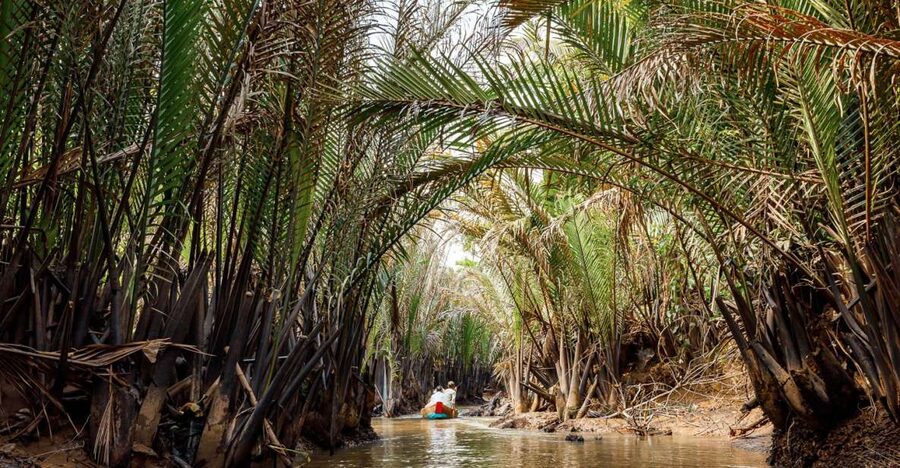 From Ho Chi Minh: Classic Mekong - My Tho, Ben Tre Full Trip - Getting From Ho Chi Minh City to the Delta: Comfort and Timing