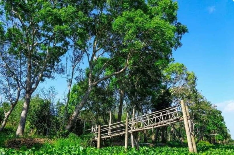 From Ho Chi Minh: Mekong Delta 3-Day Tour with Tra Su Forest - Value and Price: Is $171 a Fair Deal?