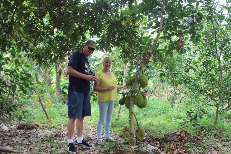 From Ho Chi Minh: Mekong Delta Private Day Tour - Getting from Ho Chi Minh City to the Mekong, without losing the day