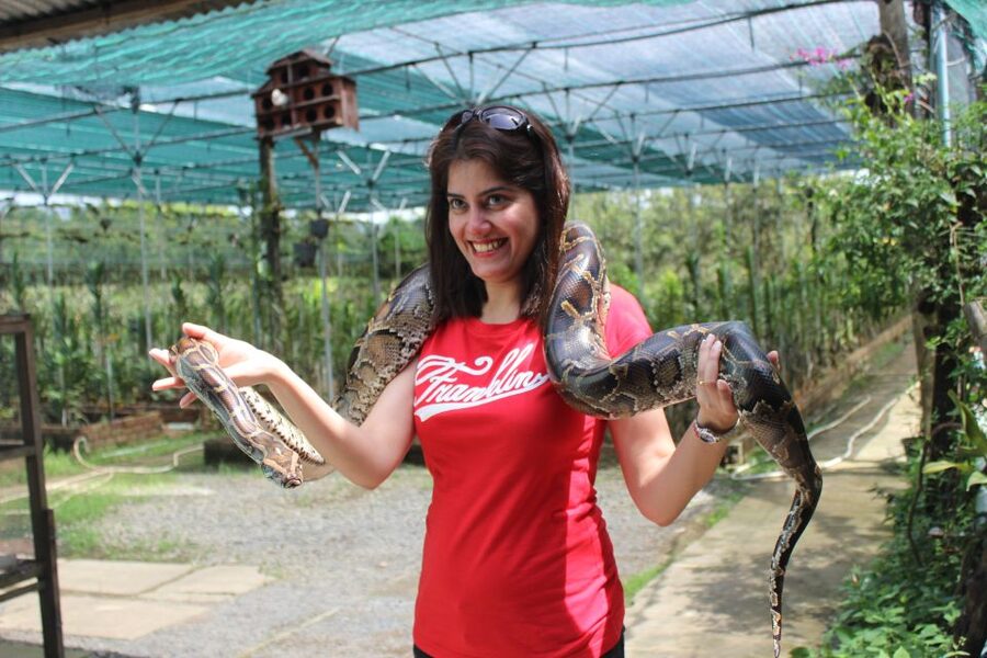 From Ho Chi Minh: Mekong Delta Private Day Tour - Don Ca Tai Tu music and a mangrove palm canal ride at a slower pace