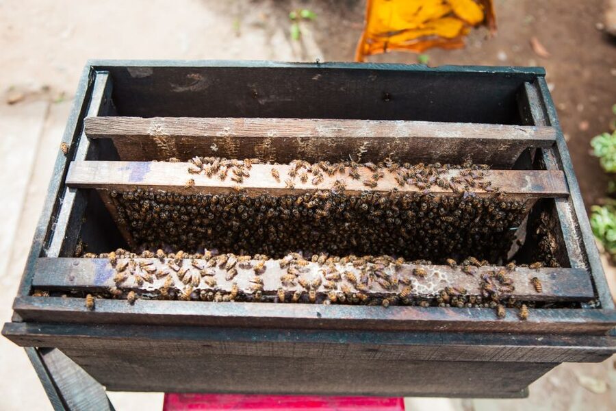 From Ho Chi Minh: Mekong Delta Private Day Tour - Timing, pacing, and what to pack for a comfortable day