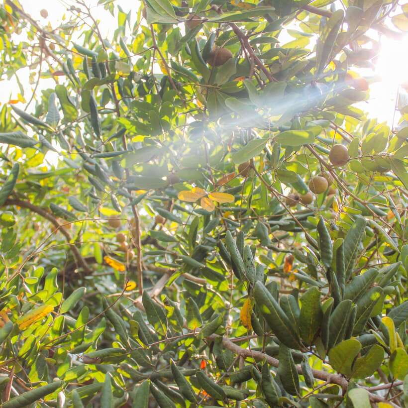 From Ho Chi Minh: Mekong Delta Small Group Day Trip - Tân Thạch and the Best Kind of Break: Not Just Standing Around