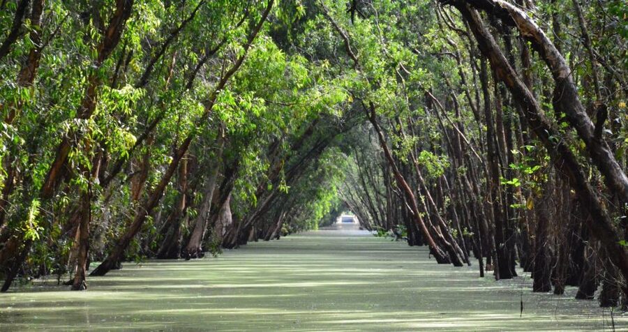 From Ho Chi Minh: Three-Day Mekong Delta Tour - Day 1 Cai Be, boat canals, Tan Phong island, and your way to Chau Doc