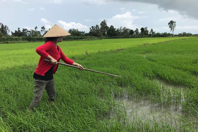 FULL Day - CAI RANG FLOATING MARKET, COOKING CLASS AND EXPLORE THE COUNTRYSIDE - Who This Tour Suits Best (And Who Might Be Happier Elsewhere)