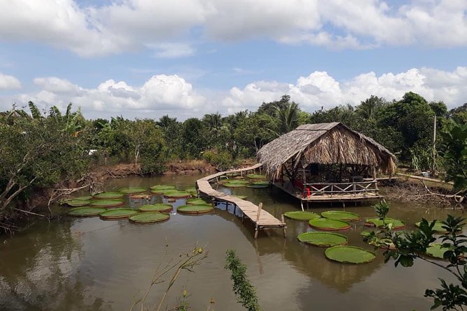 Full-day Cai Rang floating market - explore countryside, make bakery - from HCM - From Ho Chi Minh City to Can Tho, and Why the Early Start Works