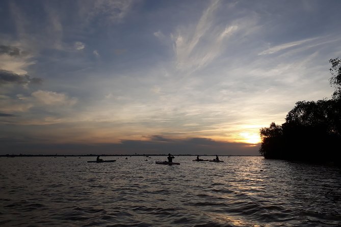Full Day Experience Mekong River Life By Kayak & Boat. - Key highlights you will actually care about