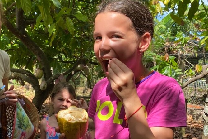 Full Day Experience to Farm and Chocolate - Key highlights before you go