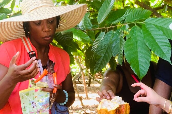 Full Day Experience to Farm and Chocolate - Price, group size, and timing that actually matter
