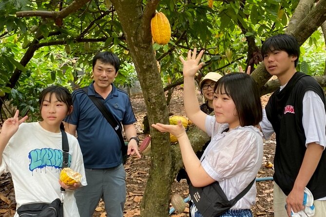 Full Day Experience to Farm and Chocolate - FAQ