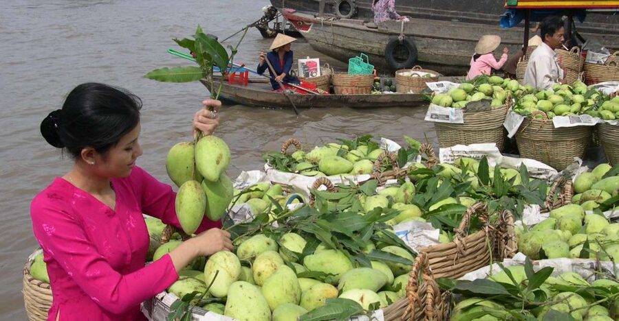 HCMC: Cai Rang Floating Market & Mekong Delta Private Tour - The Early Start Out of Ho Chi Minh City, and Why It Matters