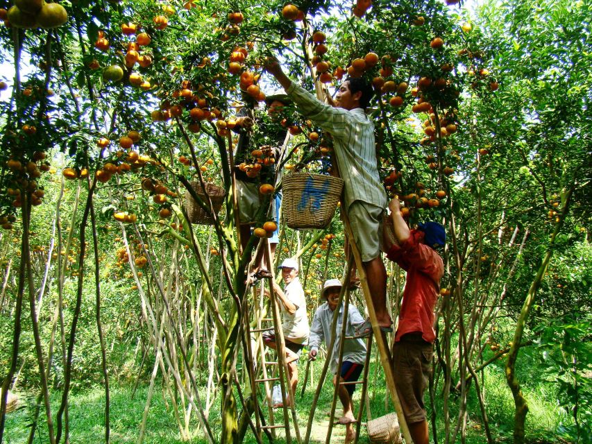 HCMC: Cai Rang Floating Market & Mekong Delta Private Tour - The Bee Farm Stop: Honey Tea, Local Fruits, and Village Music