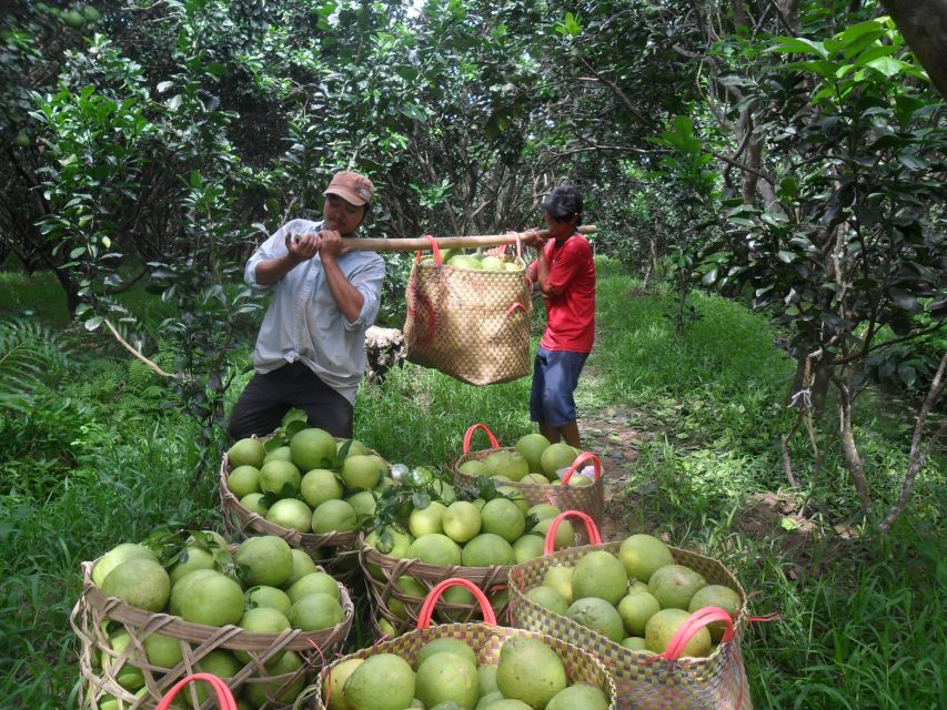 HCMC: Cai Rang Floating Market & Mekong Delta Private Tour - Should You Book This HCMC to Mekong Delta Day Tour?