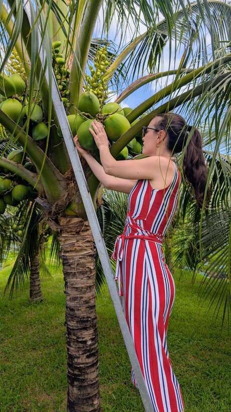 Ho Chi Minh: 1-Day Mekong Delta Tour-Floating Market & Islet - Should you book the Mekong Delta floating market and Son islet tour?