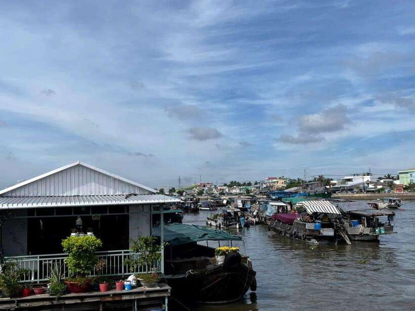 Ho Chi Minh: 1-Day Mekong Delta Tour-Floating Market & Islet - Who should book this tour from Ho Chi Minh City?