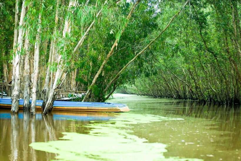 Ho Chi Minh: 3-Day Mekong Delta & Optional Exit to PhnomPenh - Hotels, Groups, and the Human Factor