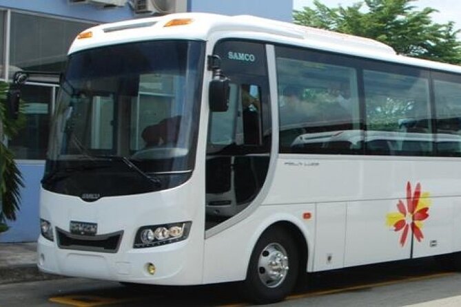 Ho Chi Minh City Airport Arrival Transfer to Hotel - Airport-to-hotel comfort, minus the guessing