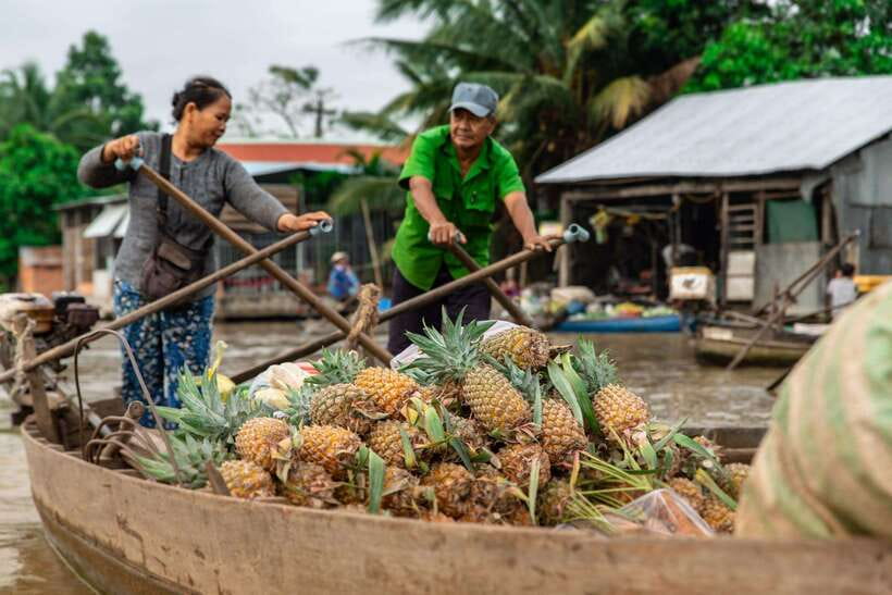 Ho Chi Minh City: Cai Rang Floating Market in Can Tho Tour - Beyond Looking: Hu Tieu Workshop and the Rice Vermicelli Lesson