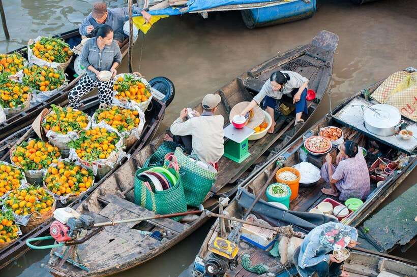 Ho Chi Minh City: Cai Rang Floating Market in Can Tho Tour - Son Islet on the Hau River: Gardens, Households, and the Monkey Bridge