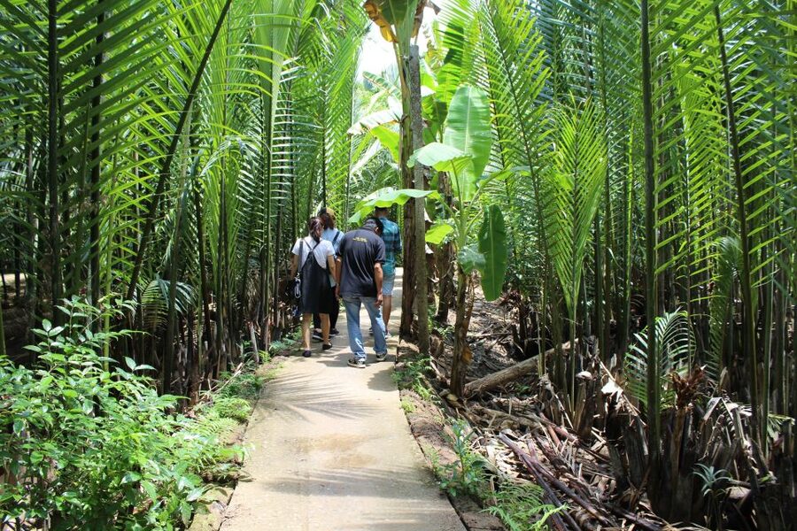Ho Chi Minh City: Discover Mekong Delta & Coconut Village - Key points I’d prioritize