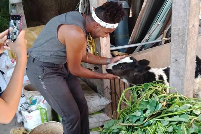 Ho Chi Minh City Full-Day Farm trip with Healthy Cooking Class - Eating Your Labor, plus Certificate and Recipes