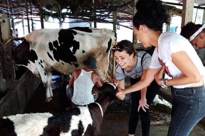 Ho Chi Minh City Full-Day Farm trip with Healthy Cooking Class - Farm Visit First: Animals, Feeding, and Real-Life Food Source