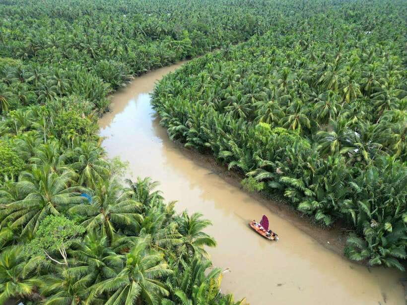 Ho Chi Minh City: Mekong Delta Day Trip with Lunch & Drinks - Key things that make this day trip work