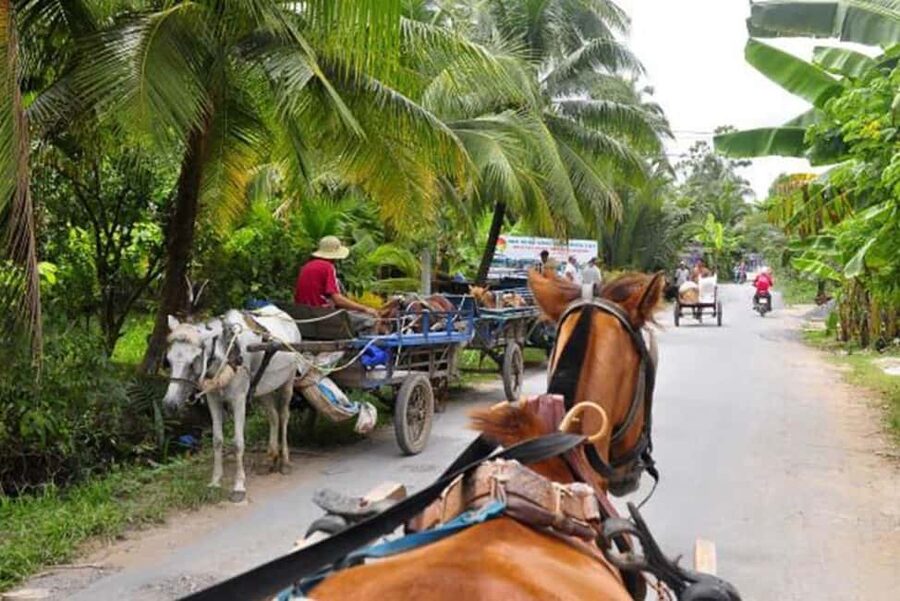 Ho Chi Minh Daily Tour: Full Day Mekong Delta (Private tour) - Cồn Thới Sơn (Unicorn Island): honey tastings plus UNESCO-recognized music