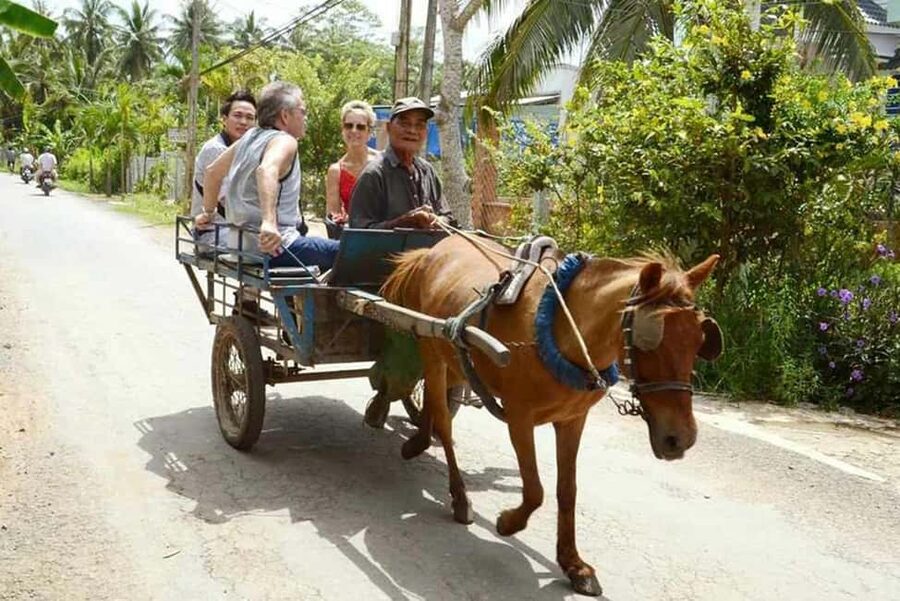Ho Chi Minh Daily Tour: Full Day Mekong Delta (Private tour) - Village time by coconut canals: seeing daily life at slower speed