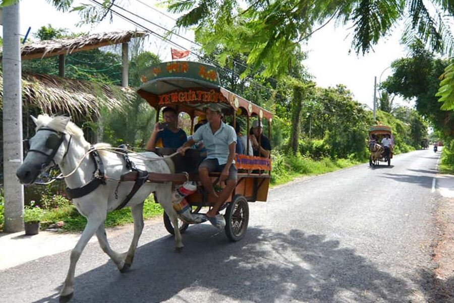 Ho Chi Minh Daily Tour: Full Day Mekong Delta (Private tour) - Ride out from Saigon with one calm anchor: Vinh Trang Pagoda