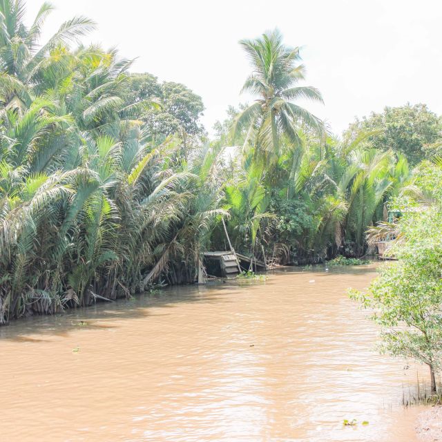Ho Chi Minh: Mekong River Islands Private Excursion - Should You Book This Ho Chi Minh to Mekong Islands Private Excursion?