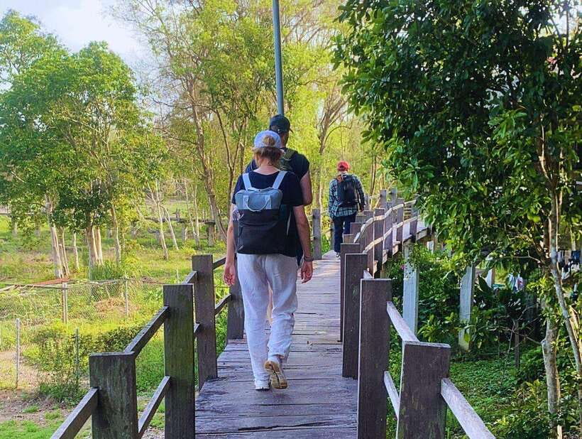 Ho Chi Minh to Cat Tien National Park – Dalat (3 days) - Cat Tien Day 1: rubber, cashews, tobacco, rice paper, then a Night Safari
