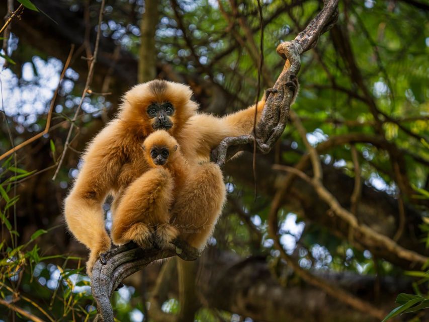 Ho Chi Minh to Cat Tien National Park – Dalat (3 days) - Bear Rescue Center: a meaningful pause from pure park time