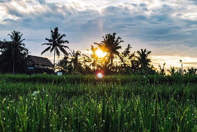 LUXURY Mekong 2 Days 1 Night SMALL GROUP Stay at Tiny Homestay with BBQ Dinner - BBQ dinner and campfire evening: the human part