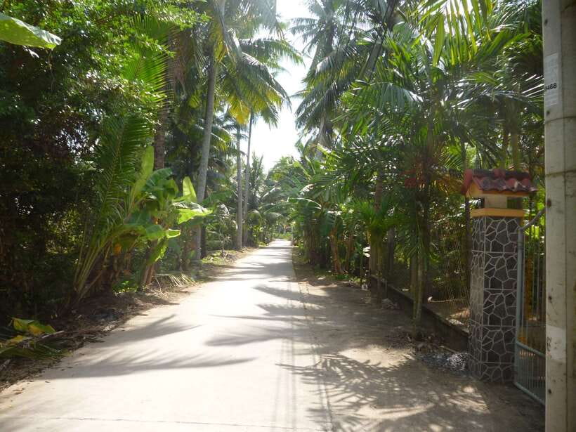 Mekong Day Tour by Car:Cai Be market, Local Island & Cycling - Quick hits before you go
