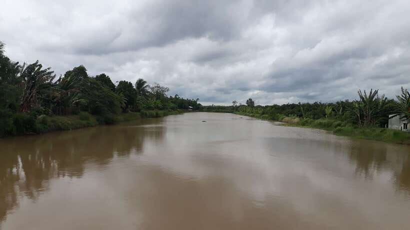 Mekong Day Tour by Car:Cai Be market, Local Island & Cycling - Price and value: is $125 per person fair?