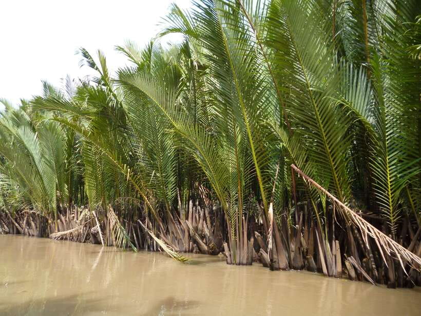 Mekong Day Tour by Car:Cai Be market, Local Island & Cycling - Lunch at a local house: why this stop earns trust