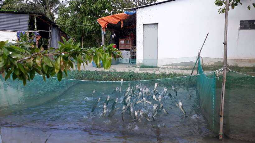 Mekong Day Tour by Car:Cai Be market, Local Island & Cycling - Transportation and timing: what an 8-hour private day feels like