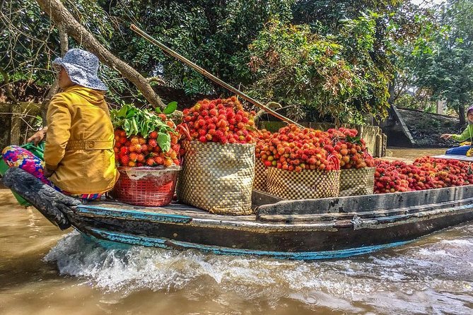 Mekong Delta 2-Day Tour: Floating Markets, Biking, Amazing Tour - Can Tho arrival and Ninh Kieu Wharf at night