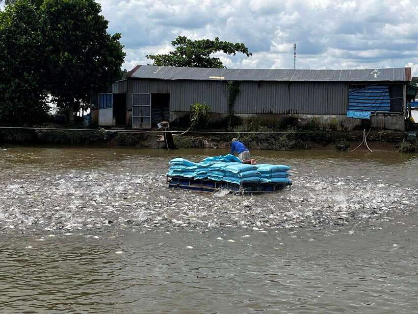 Mekong Delta 4-Day Tour: Ho Chi Minh-Chau Doc-Can Tho-Ca Mau - Price and value: what $270 includes in real terms