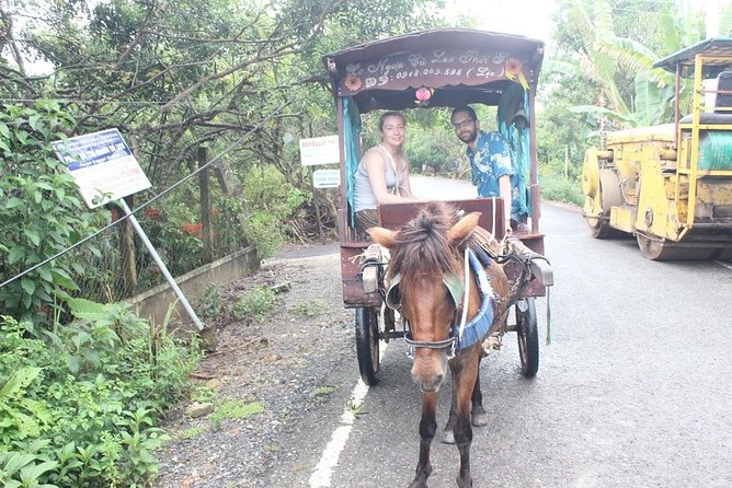 Mekong Delta Adventure by Private Car from Phu My Port - Lunch by the riverside, plus the cultural beat