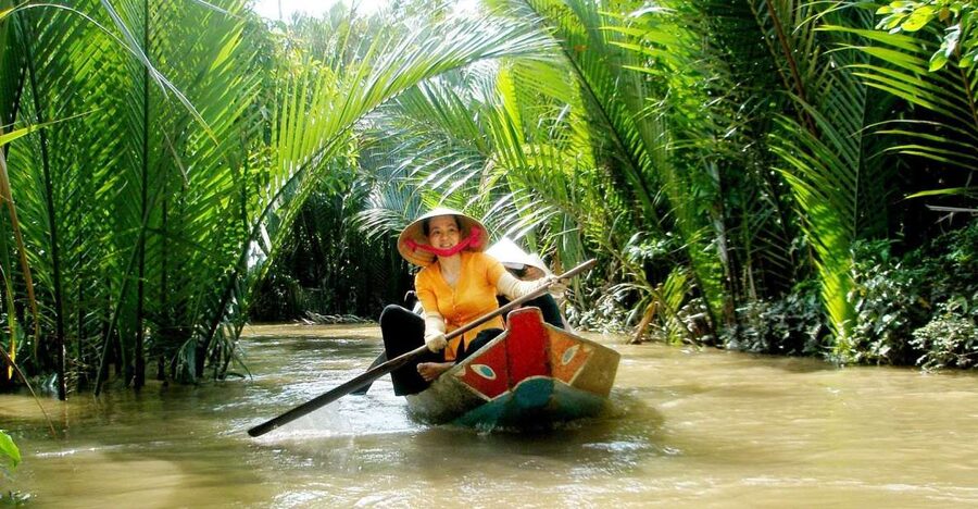 Mekong Delta Private Tour from Ho Chi Minh City - Pickup in Ho Chi Minh City, rice fields on the way, and a clean timeline