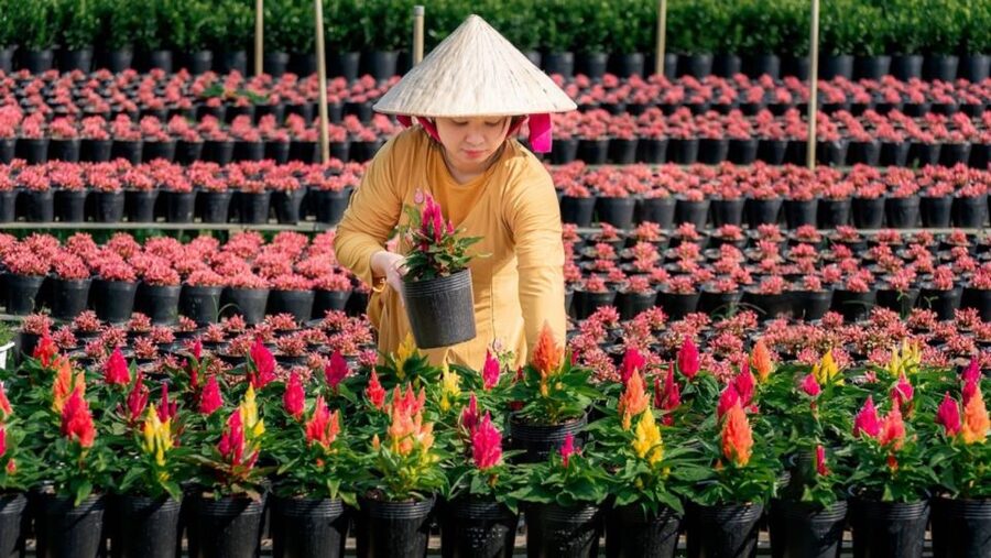 Mekong Delta Tour 2-Day (SaDec – Can Tho - My Tho - Ben Tre) - Day one in Sa Dec: flowers, pagodas, and traditional village life