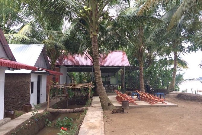 Mekong Delta Tour with Kayaking, Cycling and Cooking - Bee farm and coconut candy: small, sweet add-ons that fit the route