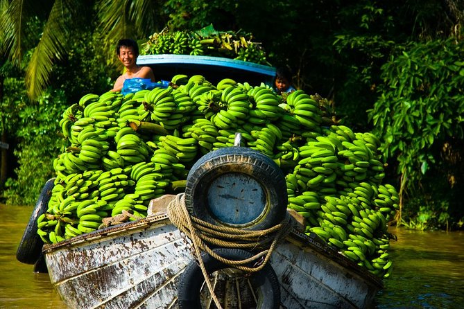 Mekong Delta Tour with Kayaking, Cycling and Cooking - Ben Lức and Mỹ Tho: cycling through daily farming life